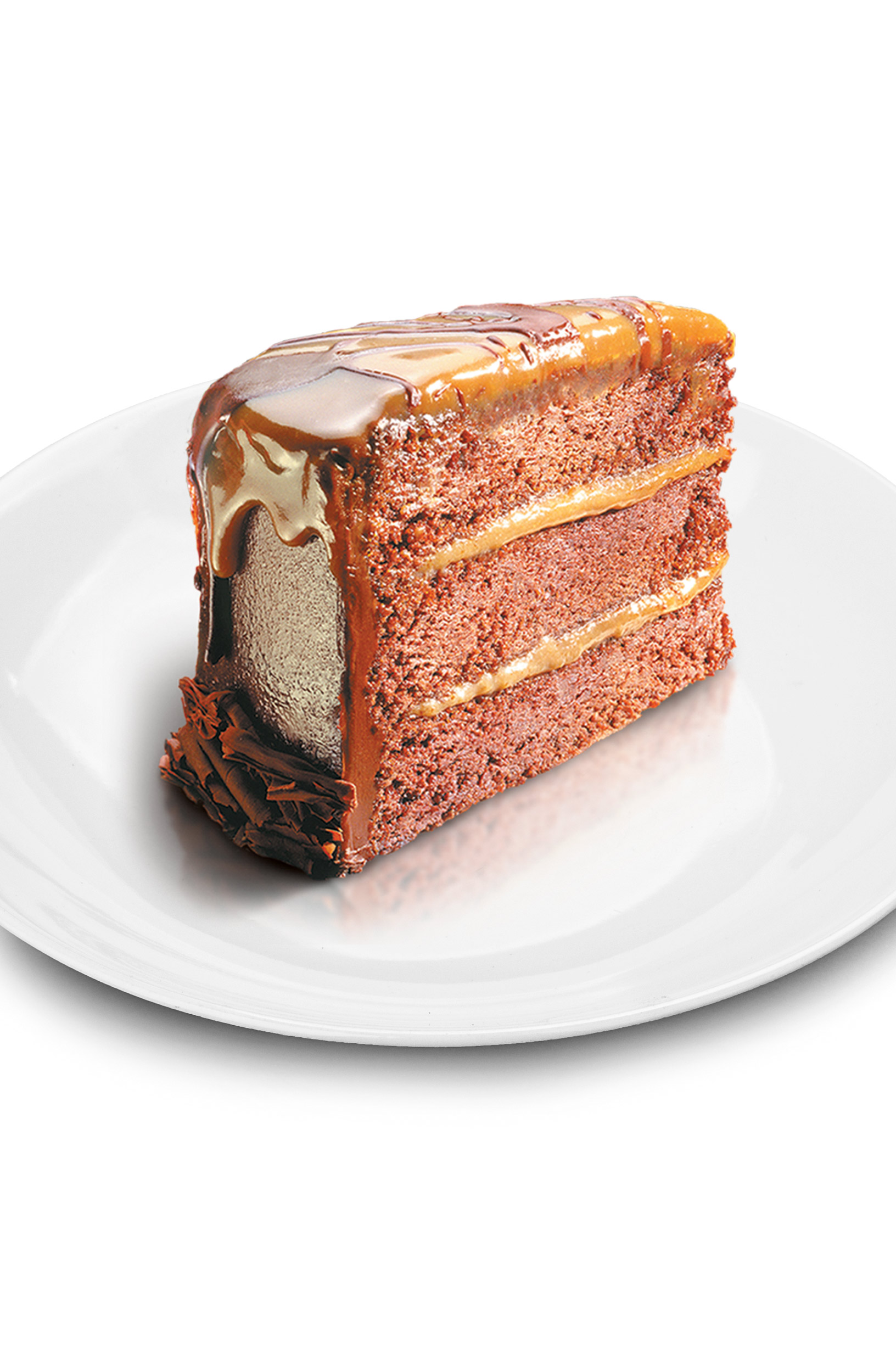 Chocolate Caramel Cake-white-plate-isolated-verticle