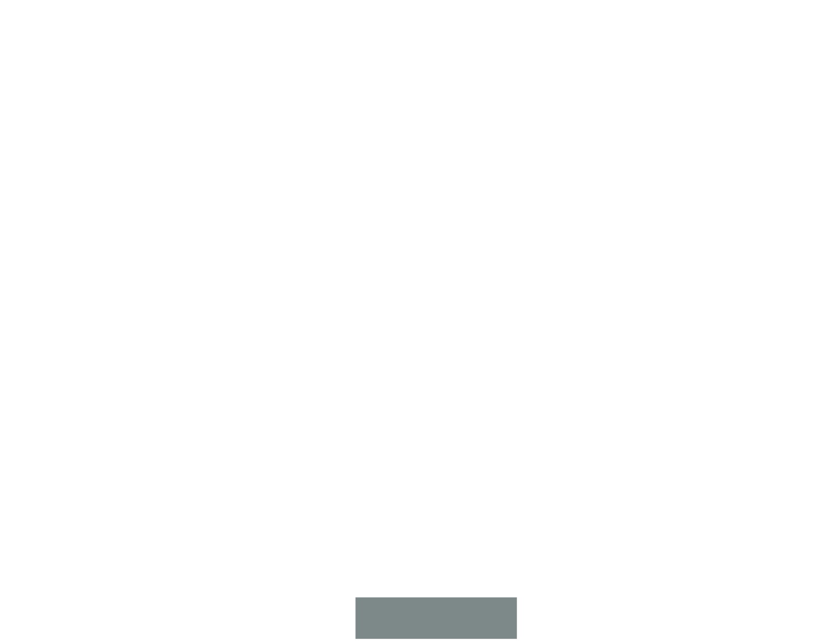 The bruce_Logos_Mesa de trabajo 1 copia 3